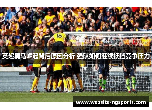 英超黑马崛起背后原因分析 强队如何继续抵挡竞争压力 英超黑马崛起背后原因分析 强队如何继续抵挡竞争压力