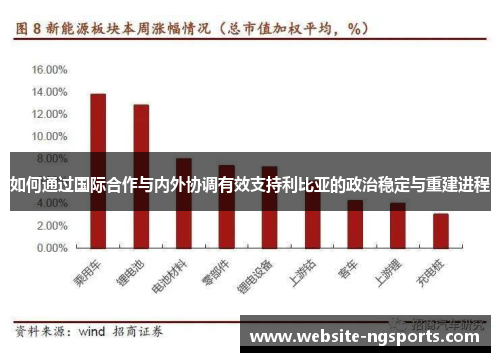 如何通过国际合作与内外协调有效支持利比亚的政治稳定与重建进程 如何通过国际合作与内外协调有效支持利比亚的政治稳定与重建进程