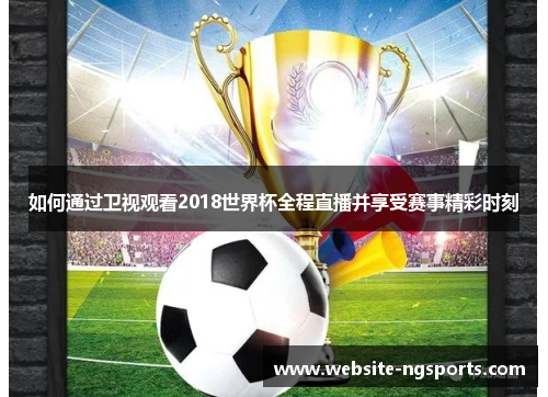 如何通过卫视观看2018世界杯全程直播并享受赛事精彩时刻