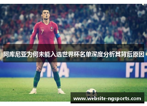 阿库尼亚为何未能入选世界杯名单深度分析其背后原因