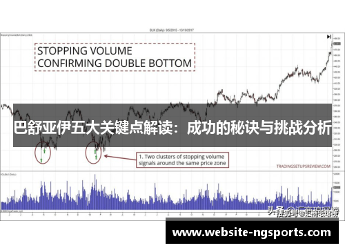 巴舒亚伊五大关键点解读：成功的秘诀与挑战分析