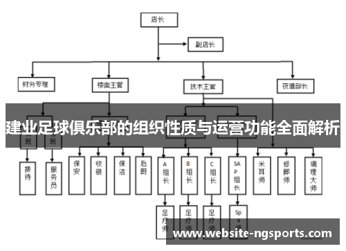 建业足球俱乐部的组织性质与运营功能全面解析 建业足球俱乐部的组织性质与运营功能全面解析